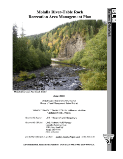 Executive Summary and Table of Contents (pp. 1-8)
