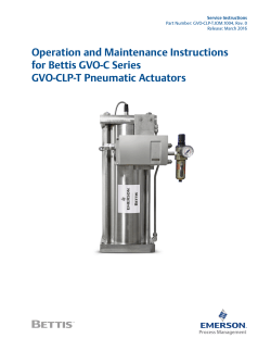 Bettis GVO-C Series GVO-CLP-T Pneumatic Actuators IOM