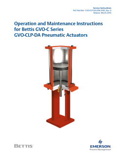 Bettis GVO-C Series GVO-CLP-DA Pneumatic Actuators IOM