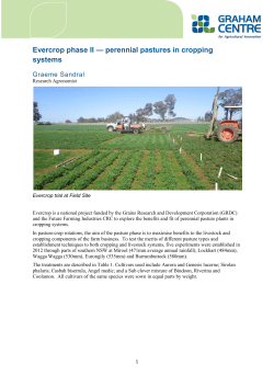 Evercrop phase II perennial pastures in cropping systems Information Sheet