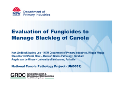 Blackleg fungicide evaluation trial