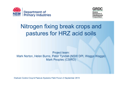 Nitrogen fixing break crops on High Rainfall Zone (HRZ) acid soils