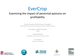EverCrop: alternate row sowing &ndash; a novel approach to maintain diversity in mixed pasture swards