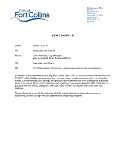 2013 Efficiencies Savings (PDF)