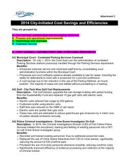 2014 Efficiencies Savings (PDF)