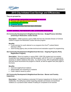 2015 Efficiencies Savings (PDF)