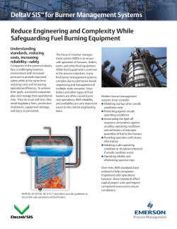 Burner Management Flyer