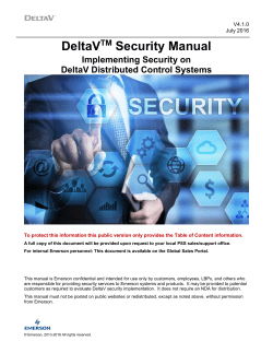 DeltaV Security Manual
