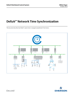DeltaV Network Time Synchronization