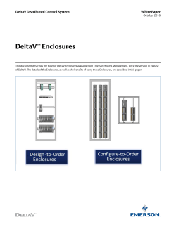 DeltaV Enclosures