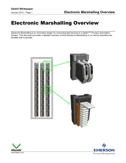 Electronic Marshalling Overview