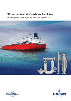 Effizienter Kraftstoffverbrauch auf See - Marine Fuel Measurement German