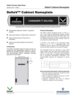 DeltaV Cabinet Nameplate and Insert