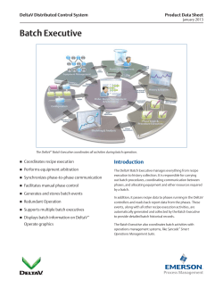 Batch Executive