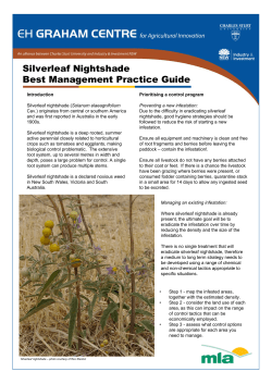 Silverleaf Nightshade Best Management Practice Guide [.pdf]