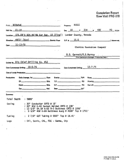 Chevron Resources Co., 1976, Temperature Depth, Lithology and Chemistry for Well, Rossi 21-19: NV/BEO/CRC-11.