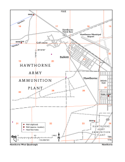Hawthorne