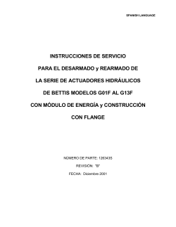 126343S