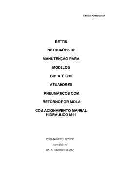 127073P