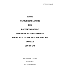 124843G