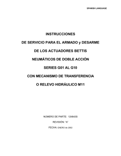 124843S