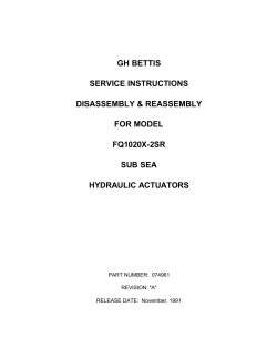 074961
