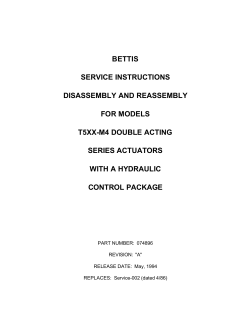 074896