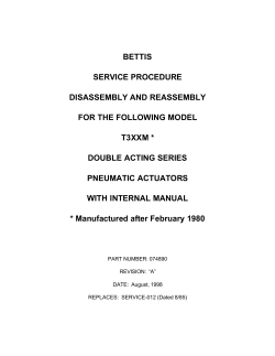 074890