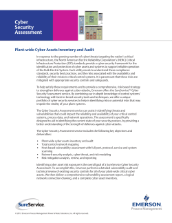 SureService Cyber Security Assessment Brochure Cut Sheet