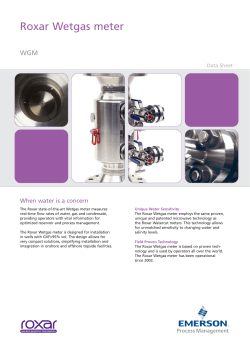 Roxar Wetgas meter Data Sheet