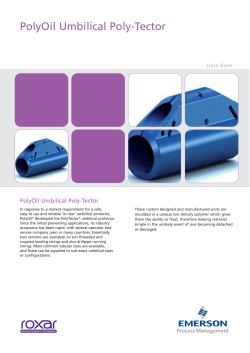Roxar Umbilical Poly-Tector Data Sheet