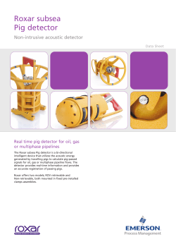 Roxar subsea PIG Detector Data Sheet