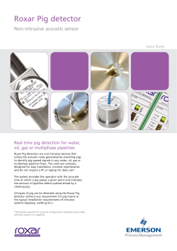 Roxar Pig detector Data Sheet