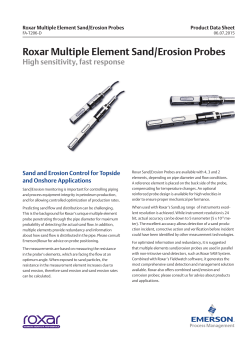 Roxar Multiple Sand/Erosion Probes Data Sheet