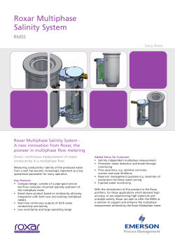 Roxar Multiphase Salinity System Data Sheet