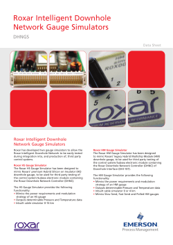 Roxar Downhole Network Gauge Simulators Data Sheet