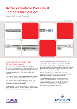 Roxar Downhole HSHM Gauges Data Sheet