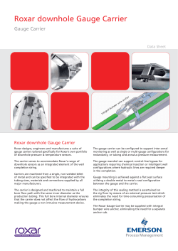 Roxar Downhole Gauge Carrier Data Sheet