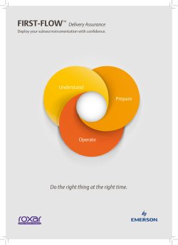 First-Flow Delivery Assurance Brochure
