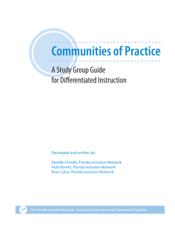 Com of Practice DI SG GUIDE AtAGlance