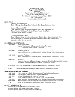Curriculum Vitae