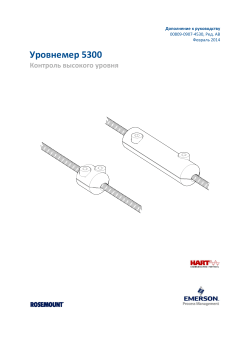 Pусский (Russian)