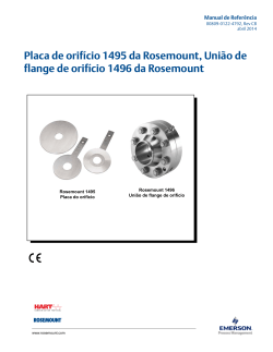 Portugu&ecirc;s (Portuguese-Brazil)