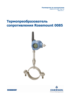 Pусский (Russian)