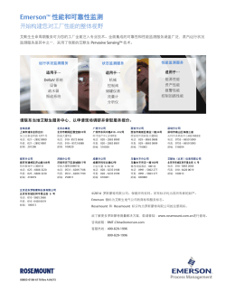 中文 (Chinese)