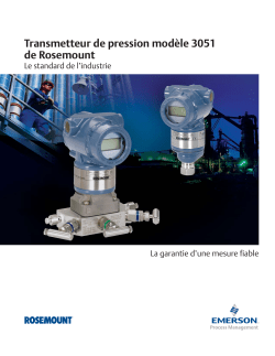 Fran&ccedil;ais (French)