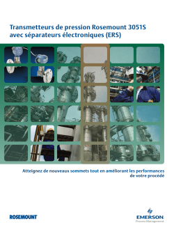 Fran&ccedil;ais (French)