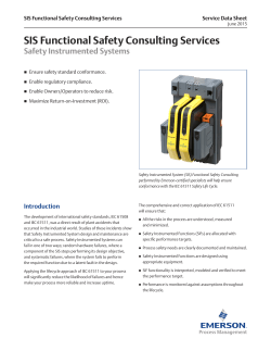 SIS Functional Safety Consulting Services