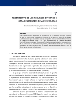 7. Agotamiento de los recursos internos y otras exigencias de admisibilidad
