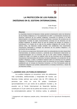 9. La protecci n de los pueblos ind genas en el sistema internacional
